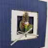 IMG 5412 Προσκλητήρια γάμου 108010 (20χ20)