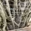 pl2016d 4 scaled PLΓ2016 (15Χ10,5) Vintage transparent plexiglass