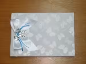 BS29 (28.5 x 20)