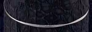 Alternative view of ΣGSTS731 “Silver 925”