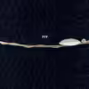 777 1α ΣGSTS777 “Silver 925”