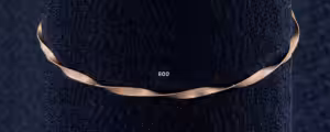 Alternative view of ΣGSTS800 “Silver 925”