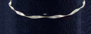 Alternative view of ΣGSTS823 “Silver 925”